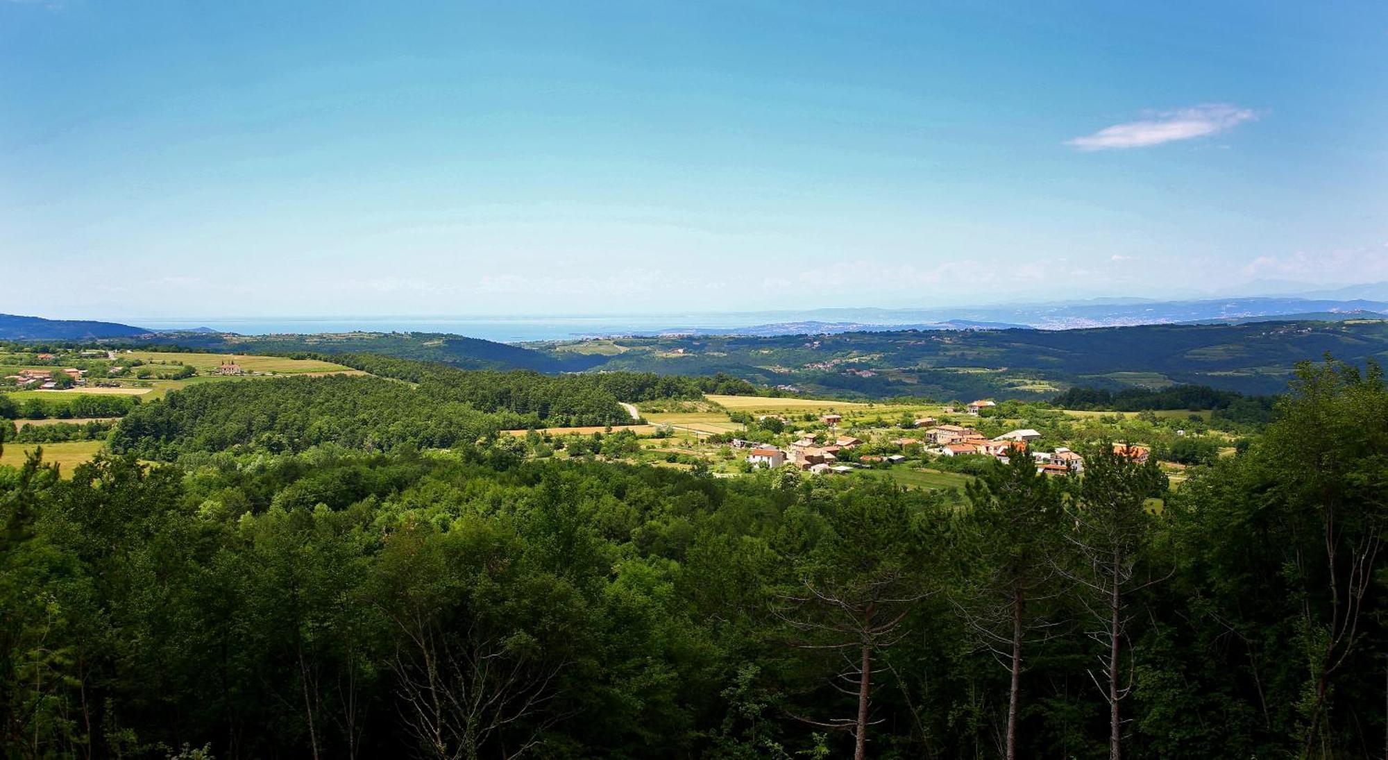 Luxury Villa Gradin Gračišče Exteriér fotografie