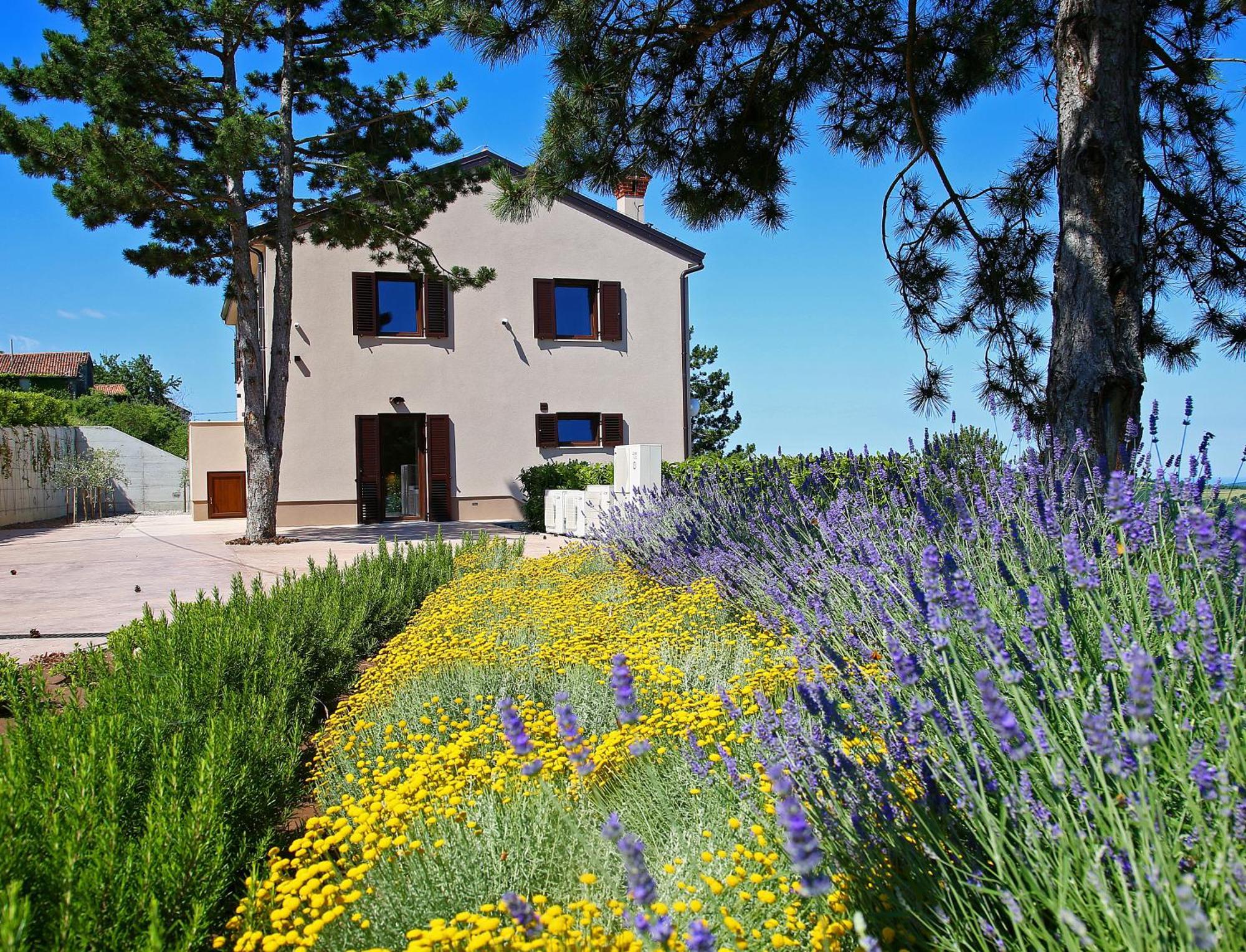 Luxury Villa Gradin Gračišče Exteriér fotografie